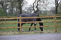 M & M rit 17-4-2016 fotoreportage-Marie-lou (8)